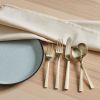 (4 pack) Stainless Steel Dinner Spoon